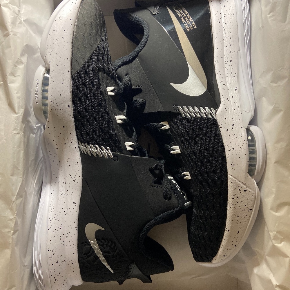 Lebron Witness V